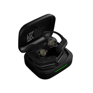 KZ 블루투스 이어폰 AE01 (이어폰헤드 포함), KZ-AE01