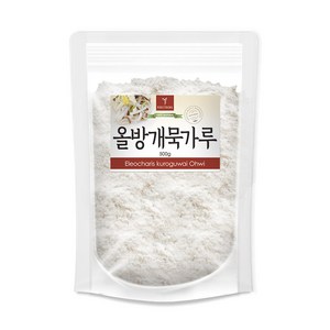 퓨어영 올방개묵가루 500g, 1개