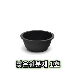 낮은 원분재 원형 분재 화분 플라스틱 분갈이 플분, 10개