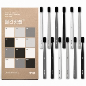 덴티넘 월간칫솔 베이직, 12개입, 1개