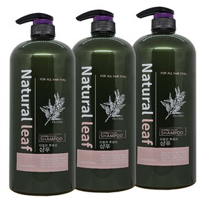 네추럴 리프 티트리 오일 후레쉬 대용량 샴푸, 3개, 1.5L