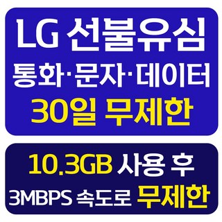 LG 선불유심 개통 데이터 무제한 선불요금제 선불폰 유심칩, 1개, 무제한10.3GB, 30일