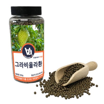 인도네시아 그라비올라환