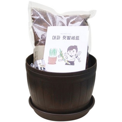 베란다레시피 쉐프의 키친가든세트 대파 텃밭세트