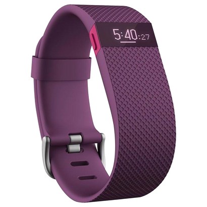 Fitbit Chare HR 라지 스마트워치 플럼