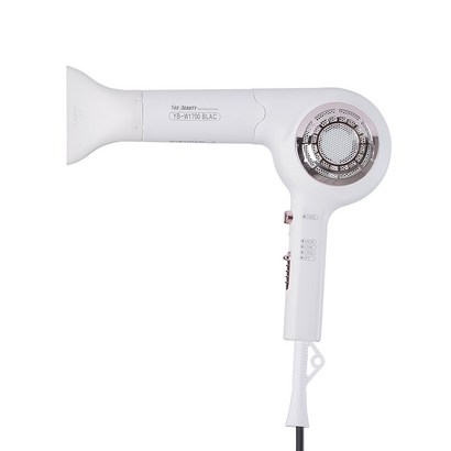 예스뷰티 BAC 항공모터 드라이기 YB-W1700BAC 1700W