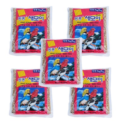 핑퐁 새모이