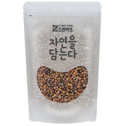 조은약초 토사자