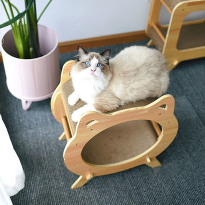 펫초이스 프리미엄 원목 고양이 스크래쳐 원형