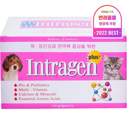인트라젠 플러스 분말 반려동물 영양제 리뷰후기
