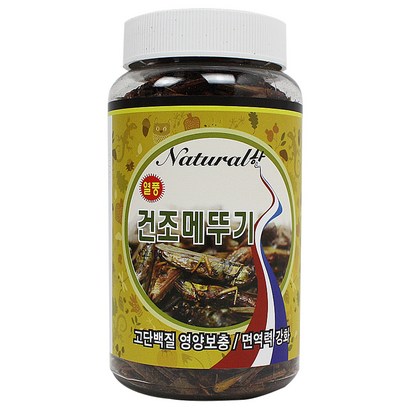 내츄럴한 열풍 건조 메뚜기 대