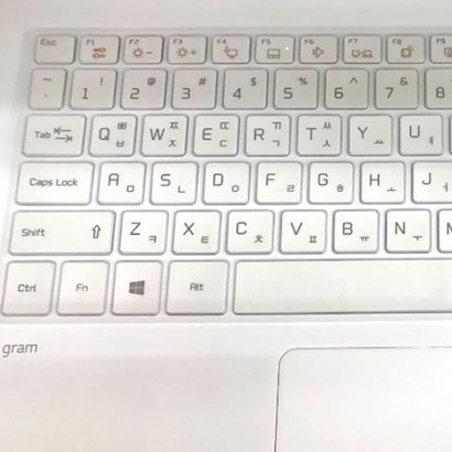 잇버스 그램 15Z970 / 15Z975 / 15Z980 / 15Z990 / 15Z995 / 15Z90N / 17Z990 / 17Z995 / 15U590 / 15U40N / 15U50N / 15U70N / 15U 키스킨