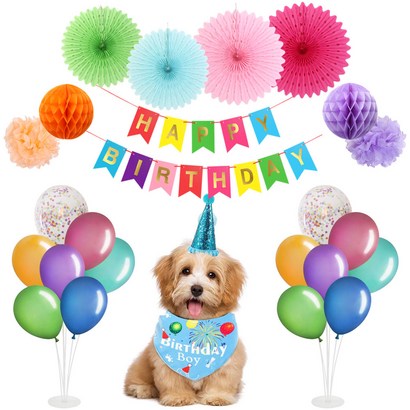 벌룬 플래그 강아지 생일파티 리뷰 후기