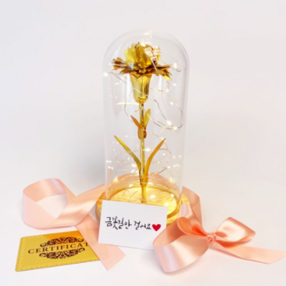 금카네이션 무드등 어버이날 선물 카네이션 꽃 부모님선물 엄마선물 장모님선물 리뷰후기