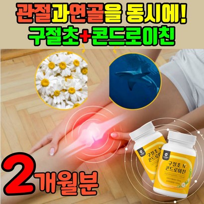 구절초 콘드로이친 저분자 구절초 추출물 미나린 코드이친 콘도리친 콘드레이친 콘트로이친 콘드레이첸 보스웰리아 초록잎홍합 해조칼슘 콘도로이친 콘드레이츠 콘드로우친 곤드레이친