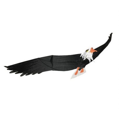 3D입체독수리 디자인 연날리기 리뷰후기