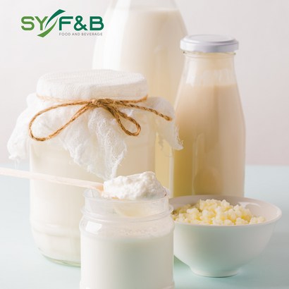 티벳버섯 종균 케피어 Kefir