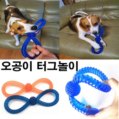 강아지장난감 이갈이장난감 애견장난감 터그놀이 강아지터그놀이 터그놀이장난감 애견터그놀이장난감 대형터그놀이 대형견 터그놀이 강아지플러 강아지플라잉 애견이갈이장난감 오공이터그놀이 리뷰후기