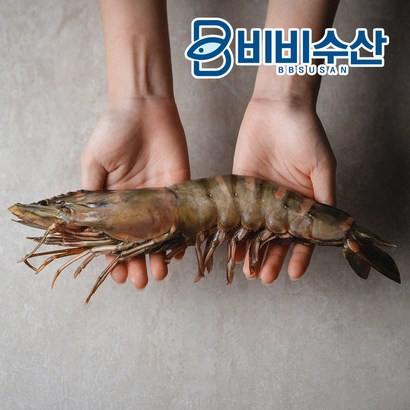 비비수산 킹타이거새우 5미 킹블랙타이거새우 리뷰후기