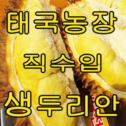 태국농장에서 직접 싱싱한 생두리안 상태로 들어옵니다 리뷰 후기