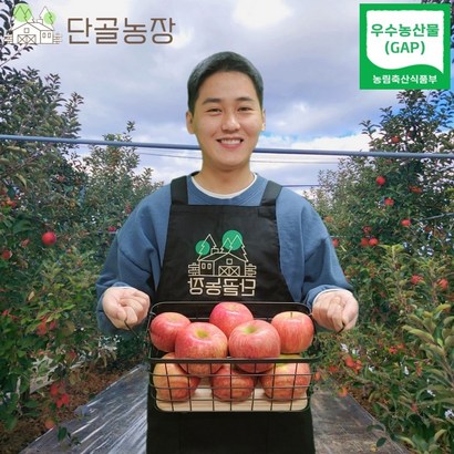 산지직송 밀양 스테비아급 고당도 얼음골 사과 리뷰 후기