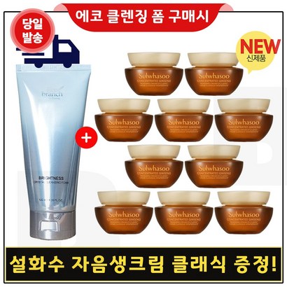 에코브런치 브라이트네스 클렌징폼 구매 / 샘플 자음생크림 클래식 x10개
