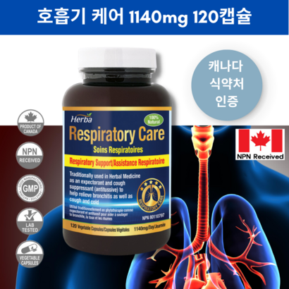 허바 캐나다 슈퍼 흡기케어 기관지케어 120캡슐 2개월분 렁클렌져 폐건강 천연성분 캐나다에서 직배송 리뷰 후기