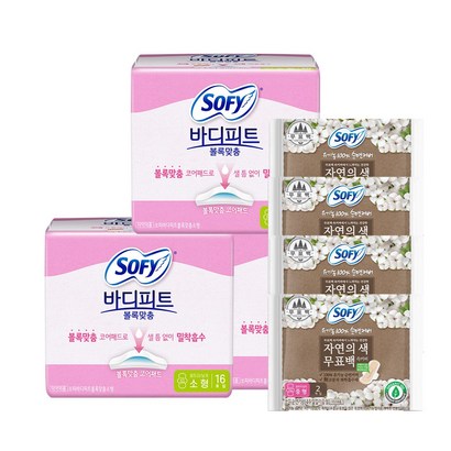 바디피트 볼록맞춤 소형 중형
