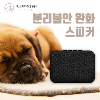 퍼피스탭 강아지가 좋아하는음악 분리불안 강아지음악 리뷰후기