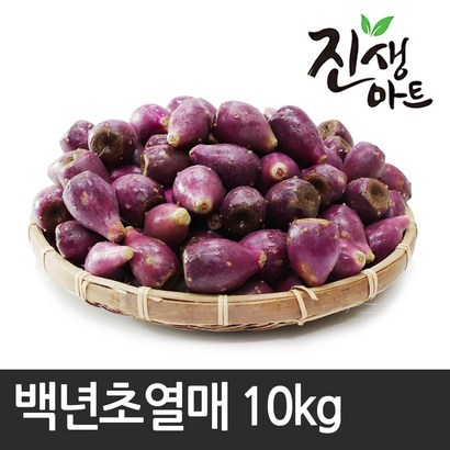 진생마트 제주도농장 제철수확! 백년초생과 리뷰후기