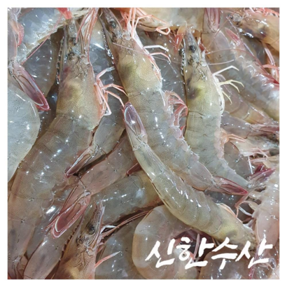 국내산 생새우 제철 왕새우 흰다리새우 25-35미