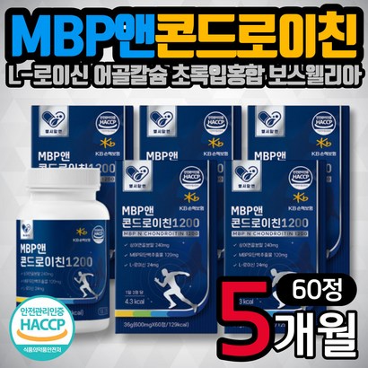 류신 B 상어연골분말 콘트로이친 60정 5통 어골칼슘 해조칼슘 프린 보스웰리아 락토페린 셀렌 저분자 어린 콜라겐 펩타이드 콘드로이친 60대 70대 80대 어르신 노인 선물