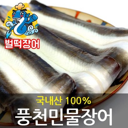 국내산 풍천 민물장어 손질후 700 벌떡장어