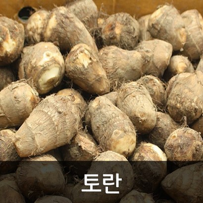 약수농장 국내산 알토란 곡성토란