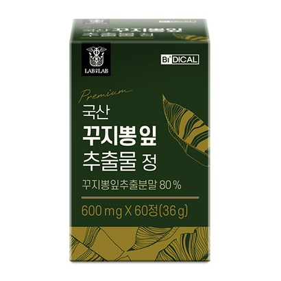 비디컬 국산 꾸지뽕 잎 추출물 매스틱 추출분말 정 매실 리뷰 후기