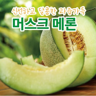웅이Far 맛있고 달콤한 머스크메론 46과 중소과 멜론 꿀 백화점상품 프리미엄급