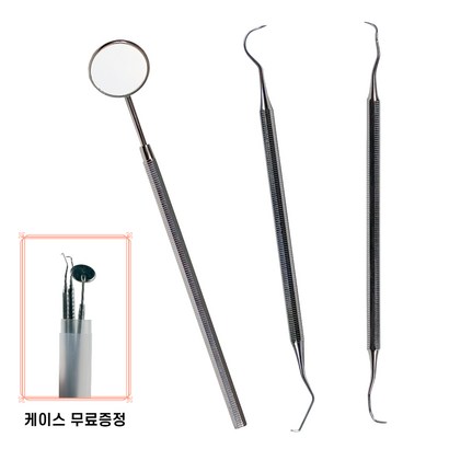 태리 셀프 의료용 구강 스텐 치석제거기 샤프 블런트 치경 사은품 케이스 증정