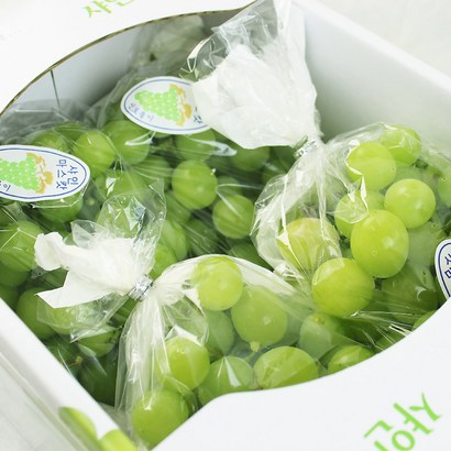 캔디처럼 달콤한 샤인머스켓 망고포도 포도