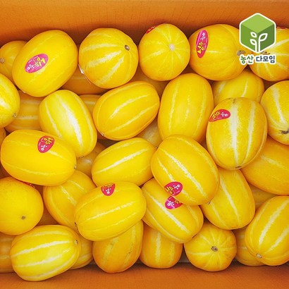 성주 꼬마참외 가정용 꿀참외 51-59과 크기 리뷰 후기