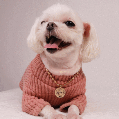 강아지 고양이 목걸이 이름표 얼굴 드로잉 등록번 각인가능