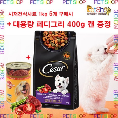 시저 애견용 건식사료 5개 대용량 페디그리 증정
