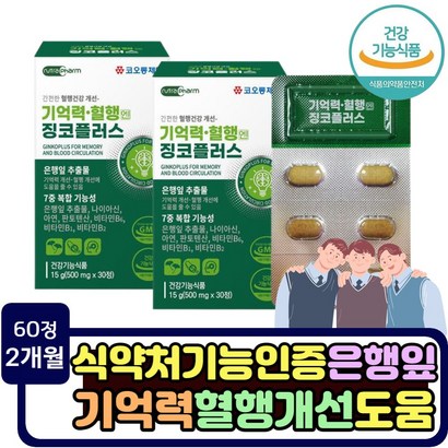 두뇌 건강 기억력 징코 은행잎 추출물 혈행개선 비타민b군 뇌혈관 노년층 부모님 인지력 혈관관리 시험준비 찡코 선물 영양제 면역력 강화 세포분열 아연 뇌혈관 플라보놀배당체