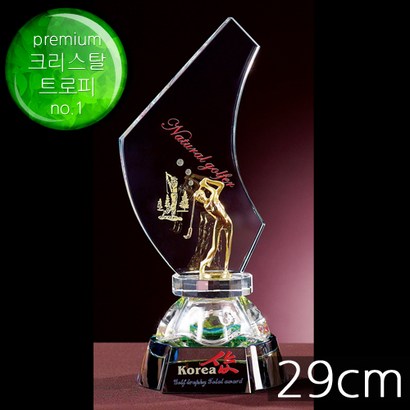 골프트로피 이글패 싱글패 홀인원패 골프상패 이글트로피 싱글트로피 홀인원트로피 홀인원기념패 TF6-13504 리뷰후기