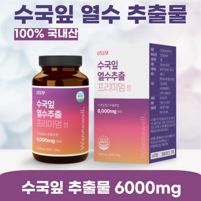워너웰 수국잎 열수 추출물 프리미엄정 60정