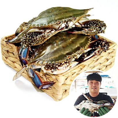 태안 준이네 당일조업 생물 신진도 산지직송 리뷰후기