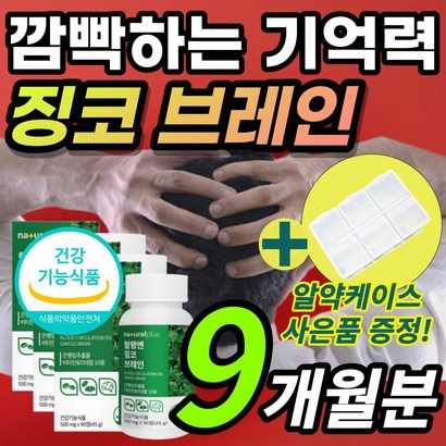 간편한 대용량 브레인 징코 두뇌 기억력 집중력 감퇴 저하 혈행 혈액 순환 개선 도움 플라보놀배당체 은행잎 은행입 추출물 함유 알 약 케이스 증정