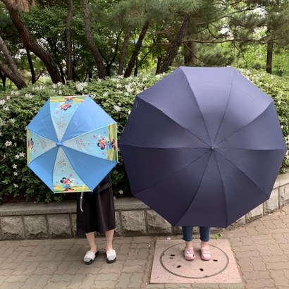VI 초대형 장우산 회장님우산 3단