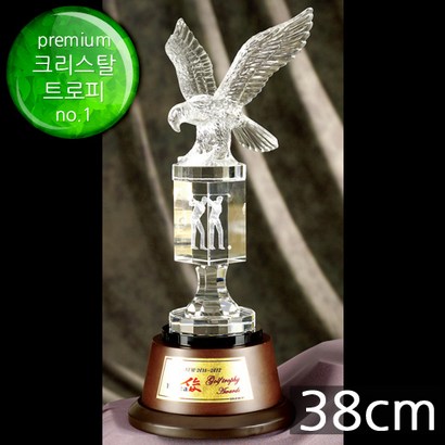 골프트로피 이글패 싱글패 홀인원패 골프상패 이글트로피 싱글트로피 홀인원트로피 홀인원기념패 TF5-08801 리뷰후기