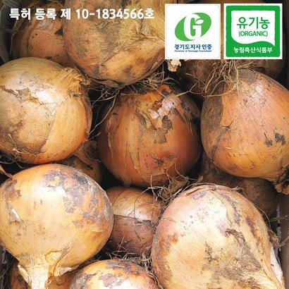 혈당개선 특허 양파 2022 유기농 햇양파 조생종 만생종 가정용 조리용 건강한 양파 망 흙 산지직송 농산물 리뷰후기