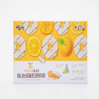 탐나는 감귤초콜릿화이트